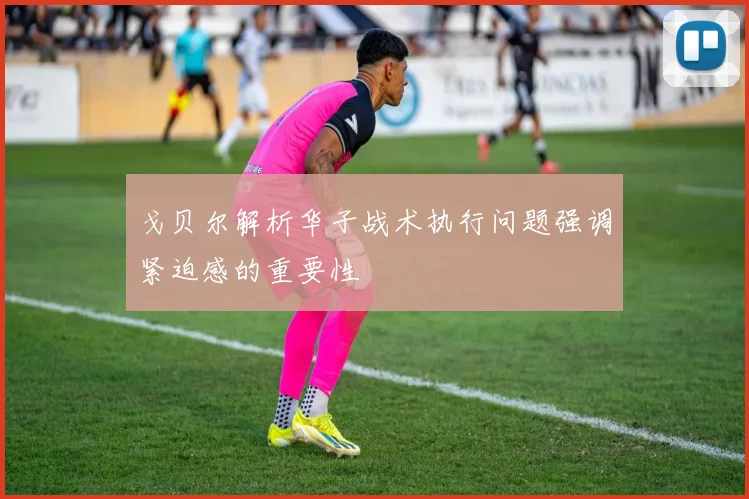 戈贝尔解析华子战术执行问题强调紧迫感的重要性
