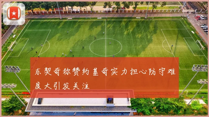 东契奇称赞约基奇实力担心防守难度大引发关注