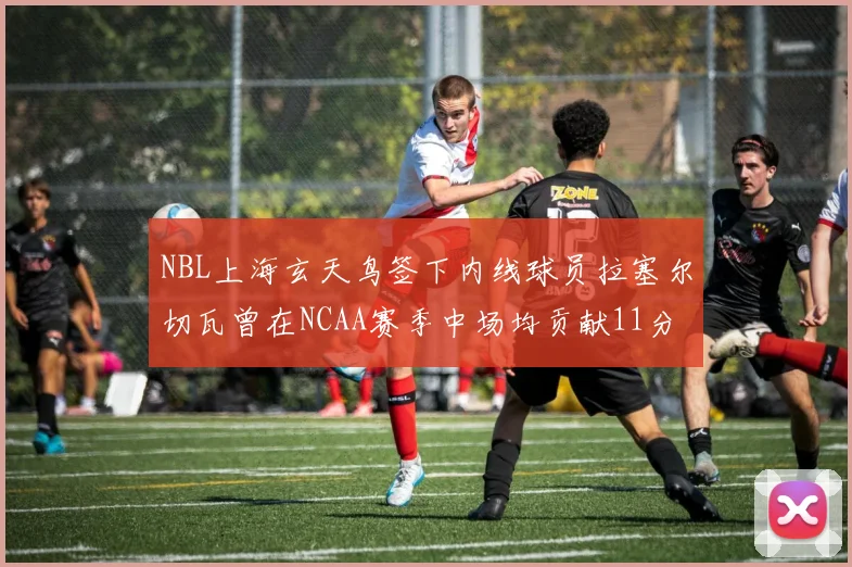 NBL上海玄天鸟签下内线球员拉塞尔切瓦曾在NCAA赛季中场均贡献11分8篮板