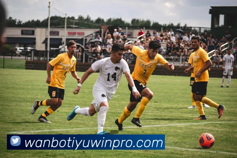 多媒体互动体验